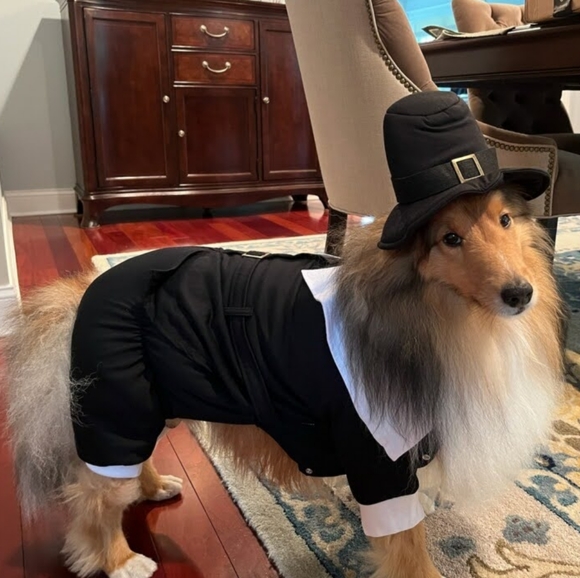 *Boop* this snoot! - Picture 3 of 3